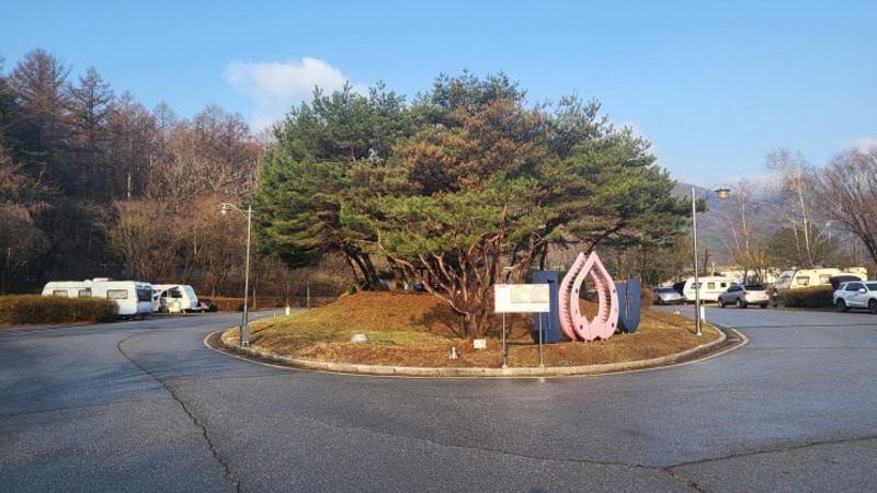 [가평 연인산 다목적 캠핑장] 우중 캠핑부터 맑은 날까지 카라반...