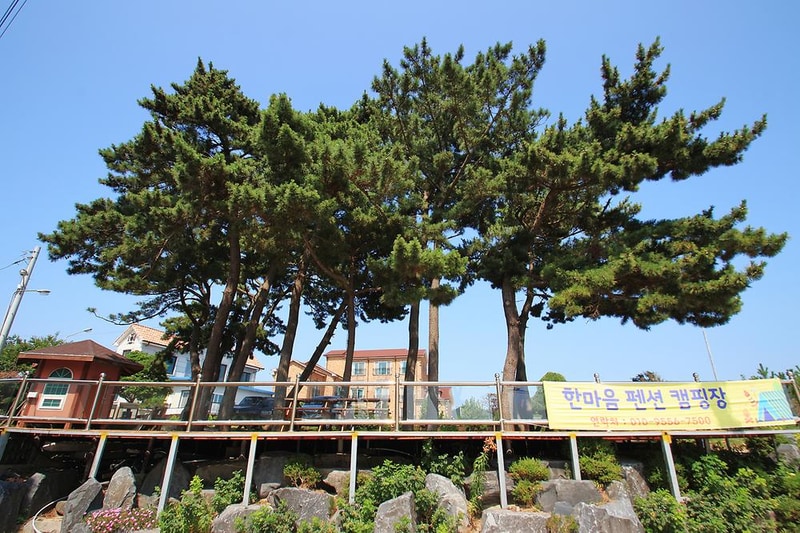 한마음오토캠핑장 시설 사진 5