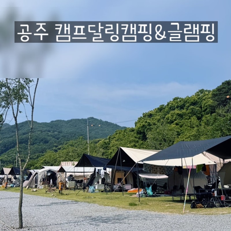 공주 키즈캠핑장 캠프달링