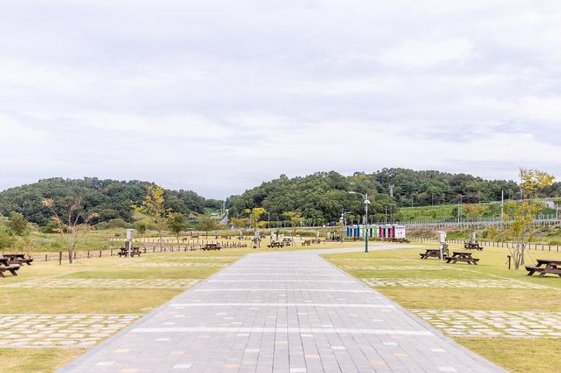 청주시 현도오토캠핑장 대표 사진