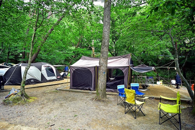 삼정야영장 시설 사진 11