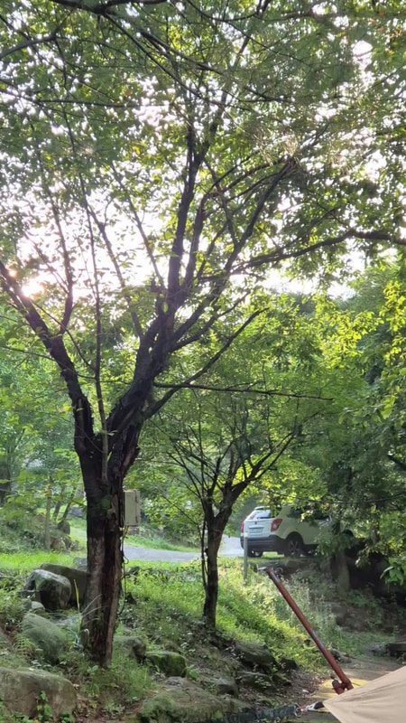 폭염이 뭐야 춥다 추워 여름 캠핑 [제천 드래곤오토캠핑장]