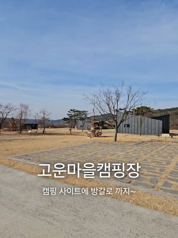 의성 고운마을캠핑장 방갈로와 애견 사이트가 있는곳