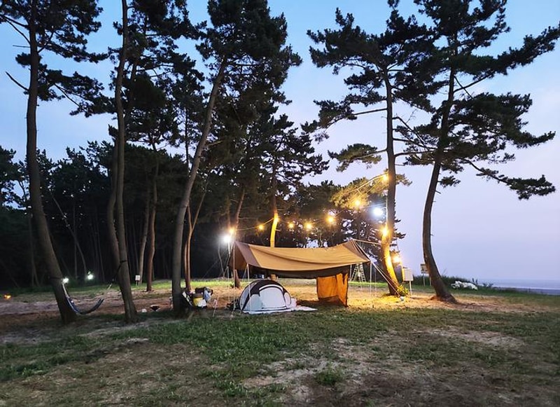 태안노을숲캠핑장 대표 사진
