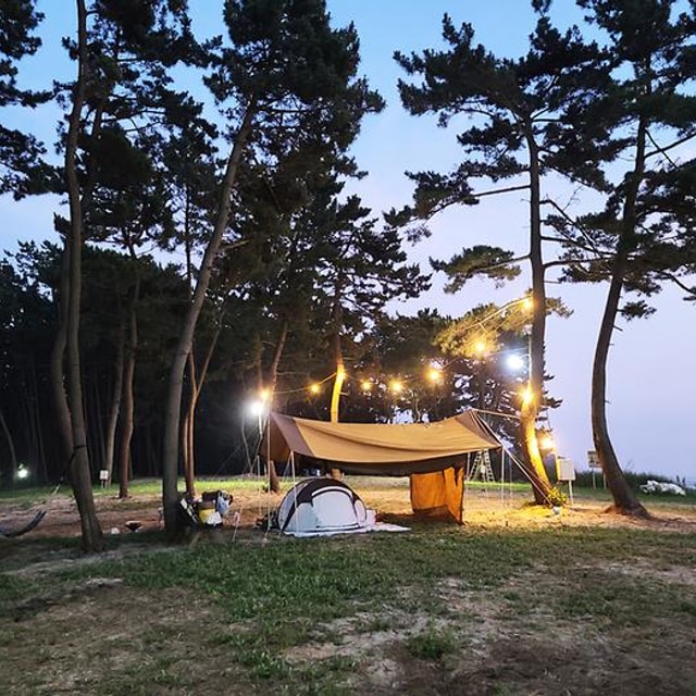 태안노을숲캠핑장