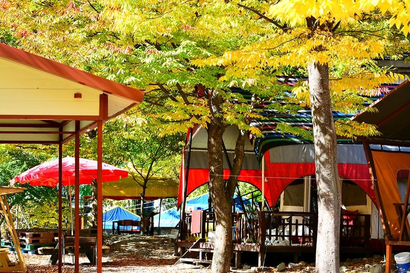 알파고글램핑 시설 사진 12