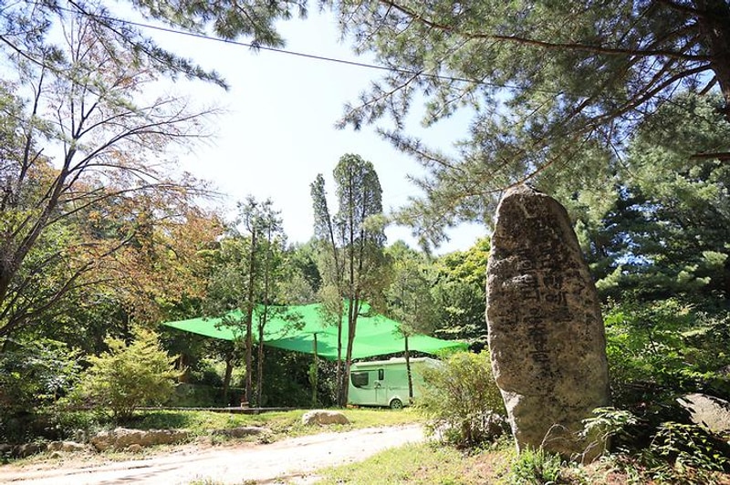 광덕그린농원 야영장 대표 사진
