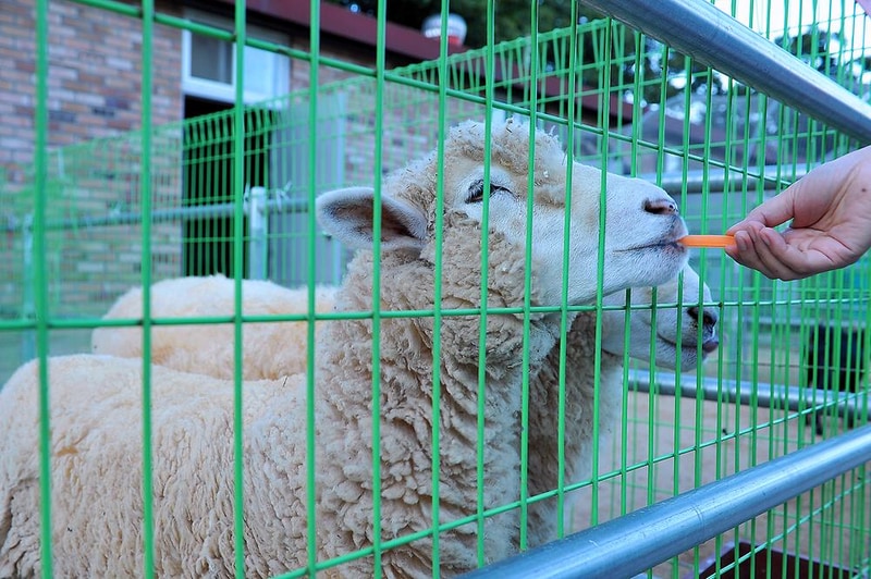 가래골농원 캠핑장2 시설 사진 3