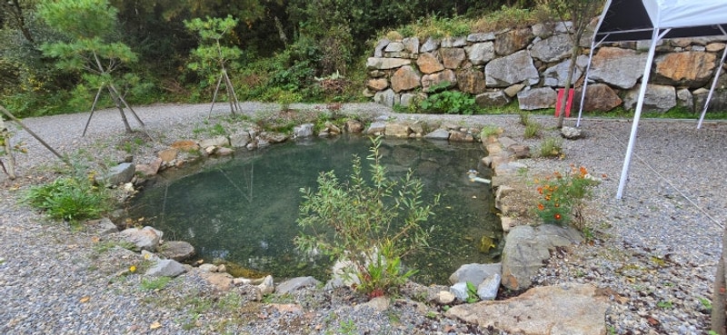 대형견 가능캠핑장 횡성 월현포레스트 캠핑장, 골든리트리버 하루