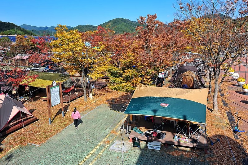 당항포관광지 오토캠핑장 시설 사진 7