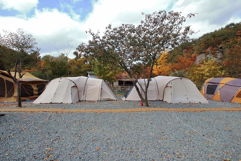 그린하우스캠핑장 시설 사진 20