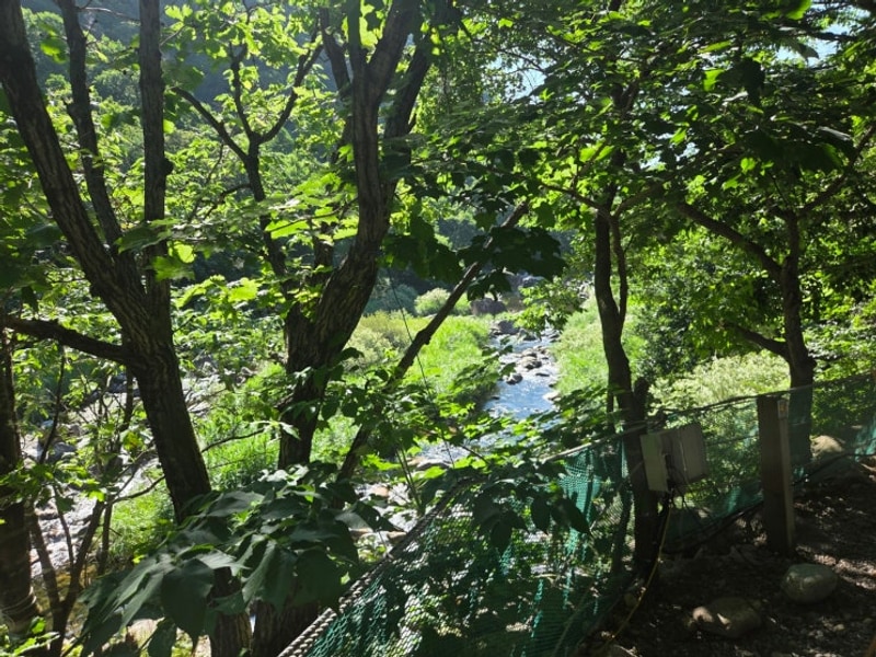 [캠핑]가평 백자동 캠핑장