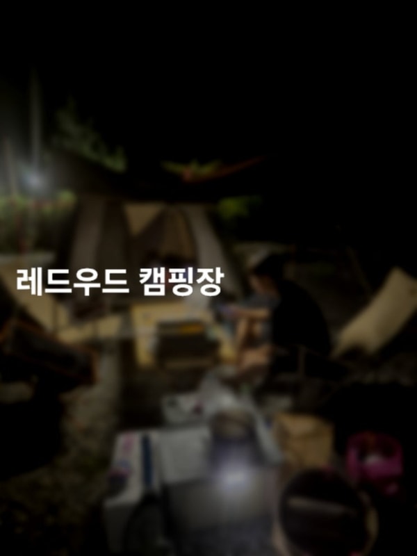 아이와가기 좋은 가평 캠핑장 레크레이션이 있는 레드우드 캠핑장