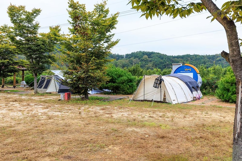 이화만리캠핑장 시설 사진 11