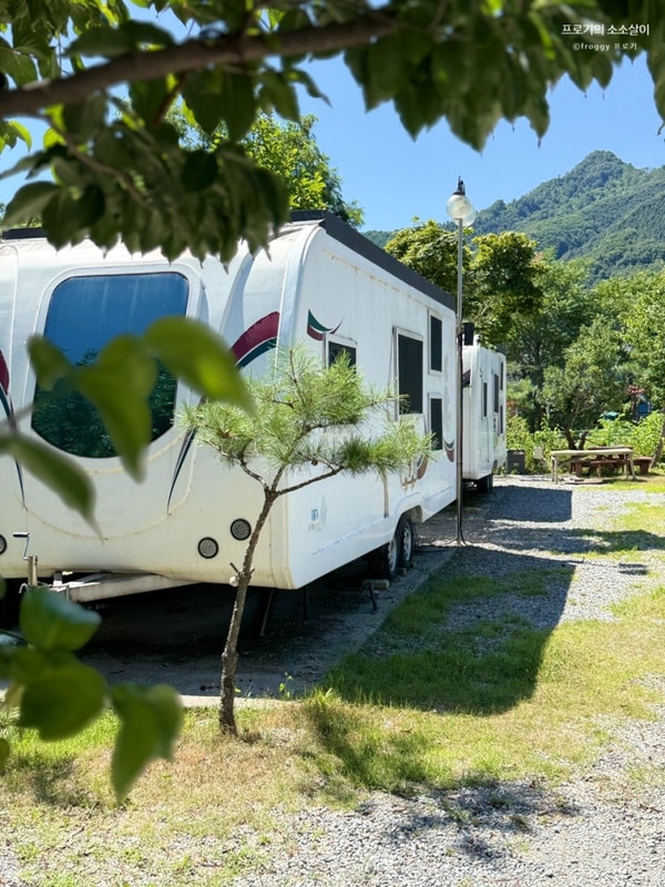 숙소 후기 • 가평 동화카라반 캠핑장