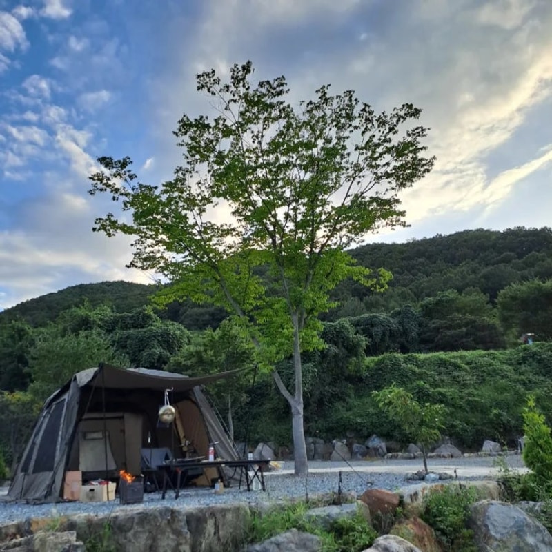 [내돈내산] 우니메이카 밀양점 캠핑 9번 사이트 후기