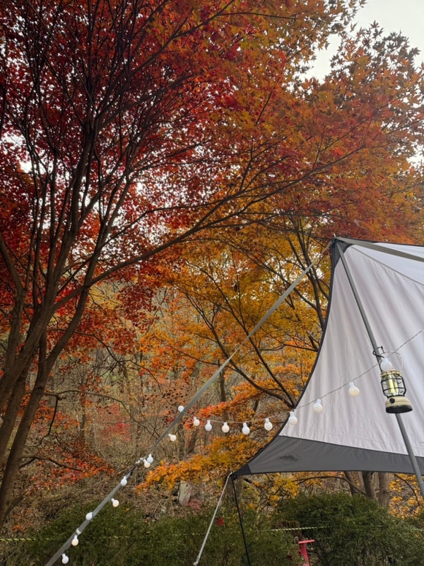 포천 아버지의숲 산정캠프 파랑새둥지 9 후기 | 11월초...