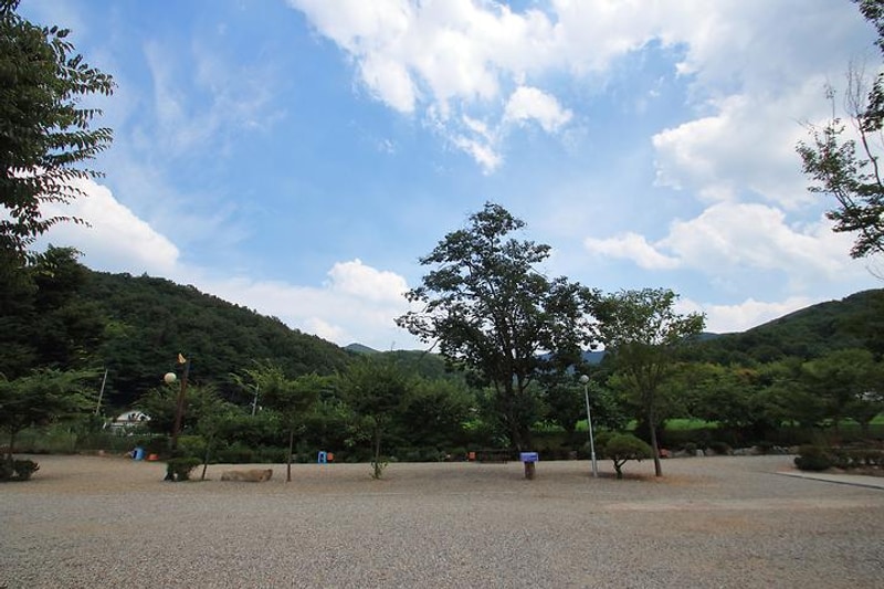 강당골캠핑파크 대표 사진