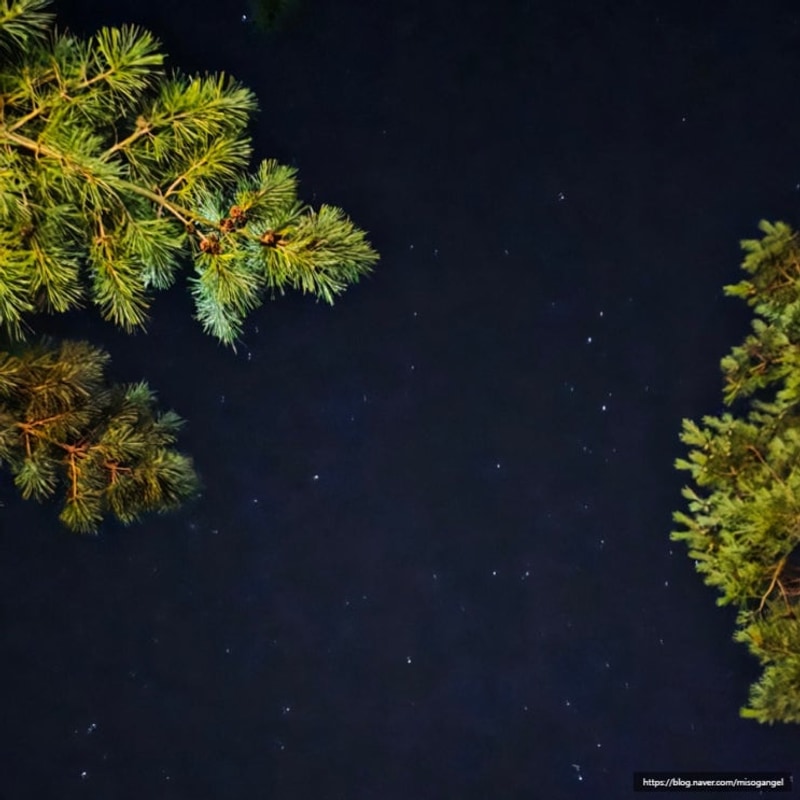 양양 지경국민여가캠핑장 매점 가격 및 내돈내산 이용후기