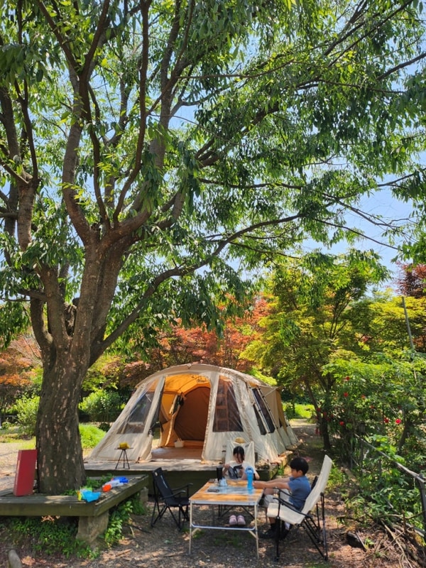 아이와 쉬기 좋은 파주 박석캠핑장에서 2박3일