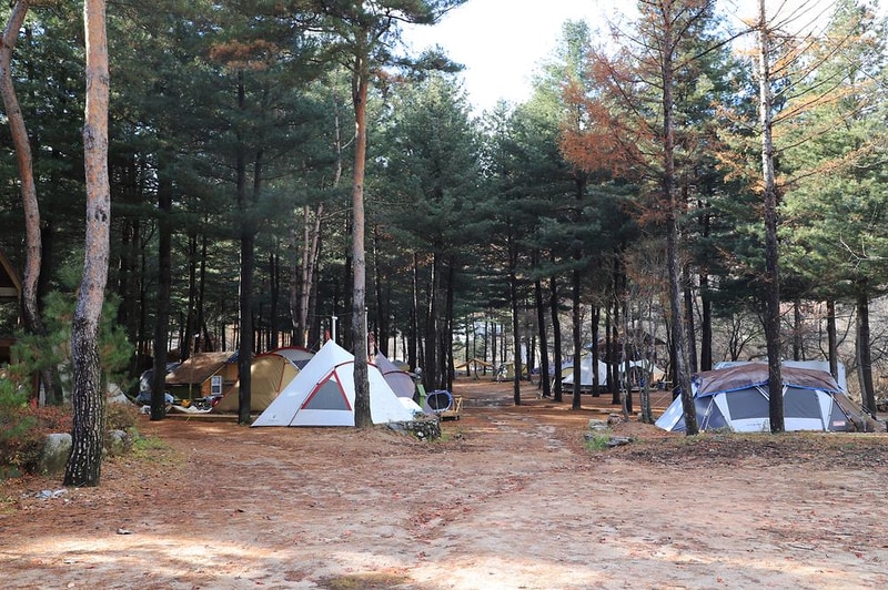 아트인아일랜드 시설 사진 4