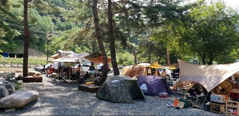 섬지골 캠핑장 대표 사진