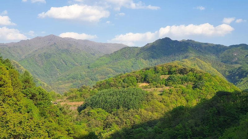 단양 도담캠핑장 시설 사진 4