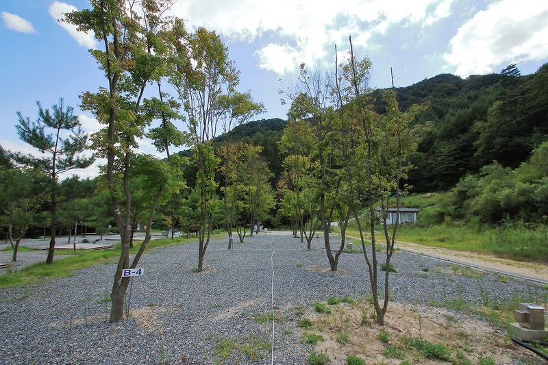 덕동계곡오토캠핑장 시설 사진 2