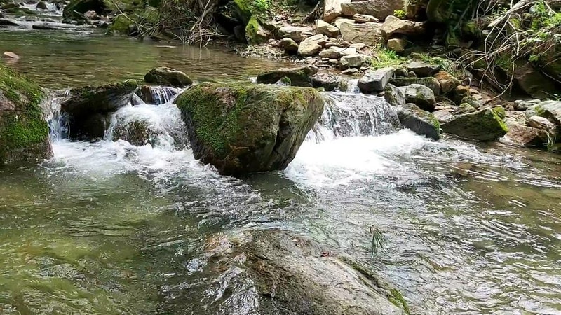 개울가에캠핑관광농원 시설 사진 2