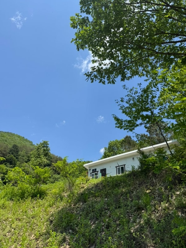 내 최애 재방문율100% -홍천높은터캠핑장