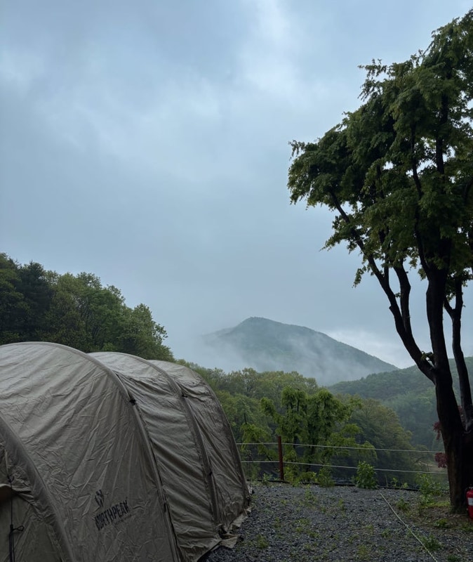 경치 좋은 반려동물 동반 캠핑장 경기도 여주 '구릉지 캠핑장'