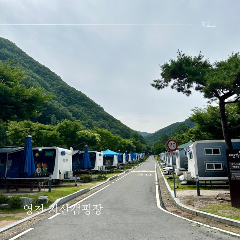 영천 치산캠핑장 카라반23호(8인용) 아이와 이용 후기