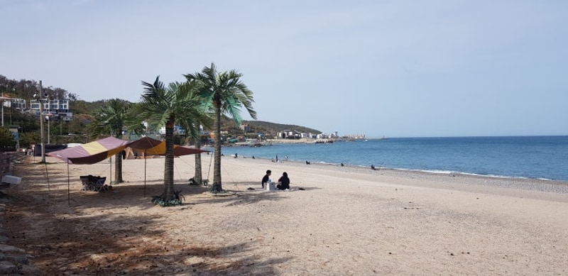 39th) 경주 오류캠핑장 (카라반 이용)