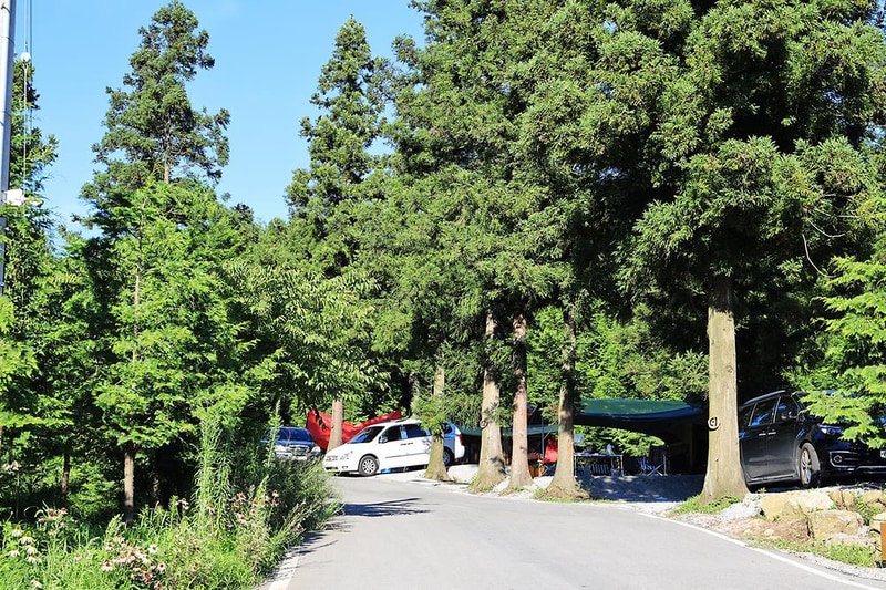 윤제림오토캠핑장 시설 사진 3
