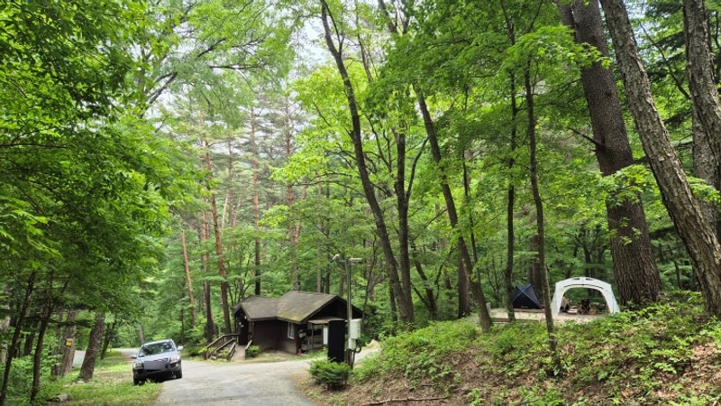 국립 청옥산자연휴양림 캠핑... & 분천 산타마을 (태백산봉화...