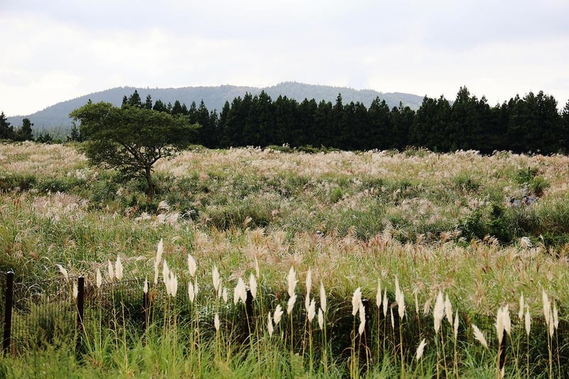 스타빌 시설 사진 21