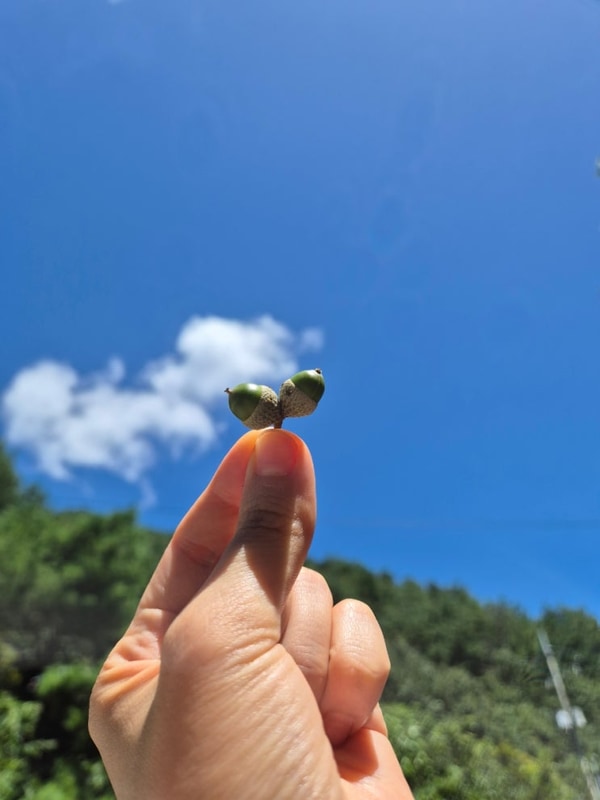 우니메이카산청, 공용9번,여름캠핑,지리산계곡캠핑장