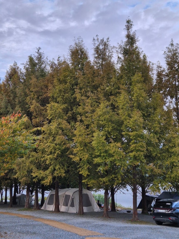 [Ep.5] 제천 청풍호반 캠핑장 1박 2일