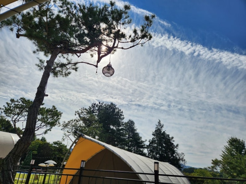 돌 아기랑 첫 캠핑 글램핑 여행(충남 아산 스테이그린)