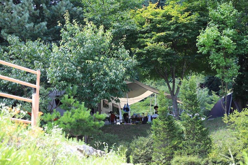 피노키오관광농원 야영장 시설 사진 16