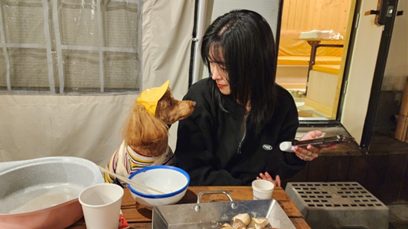 #1 애견동반 강릉여행 경포대카라반 세인트린느프렌즈