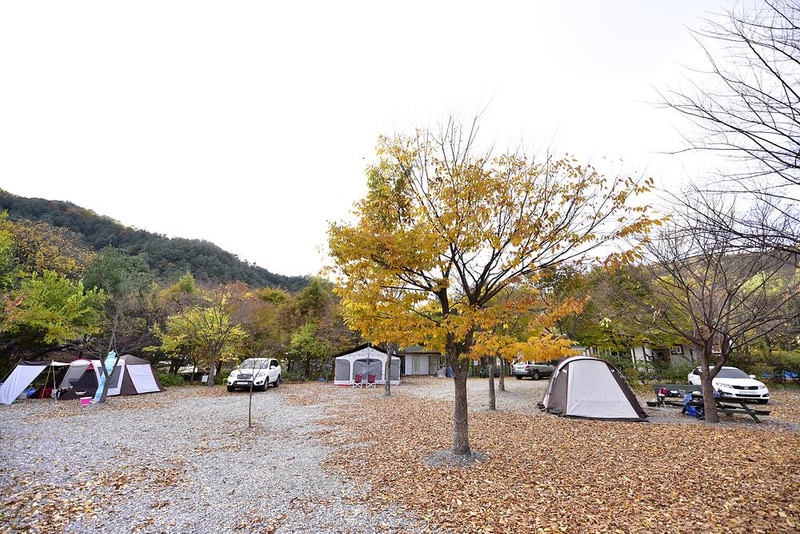 들꽃여울캠핑장 시설 사진 5