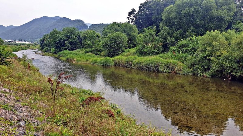 숲캠핑장 시설 사진 26