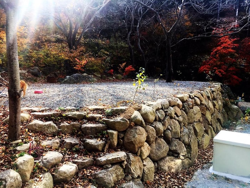 진틀펜션캠핑장 시설 사진 22