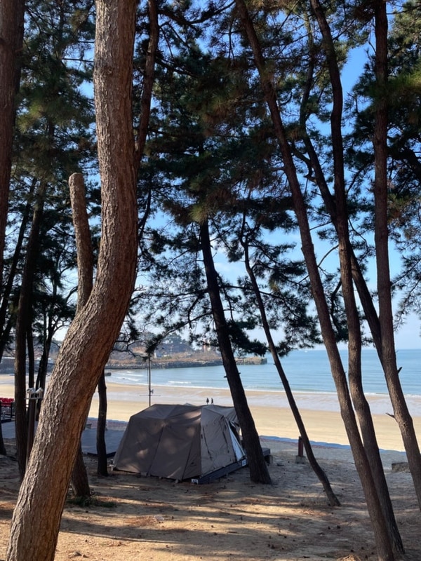 용두해수욕장 숲속 야영장 40번데크 후기(12/22~24)