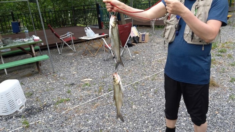 단양 무지개 오토캠핑장 시설 사진 11