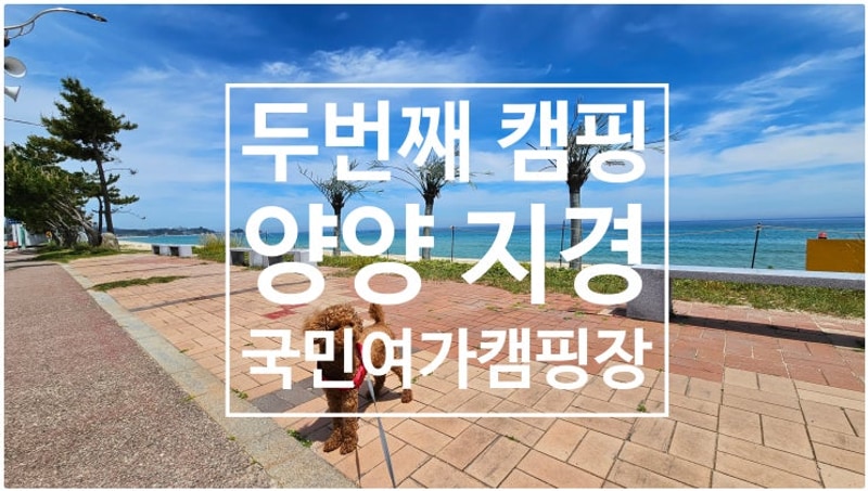 [드림렉스 캠핑카] 두번째 캠핑 양양 지경 국민여가 캠핑장