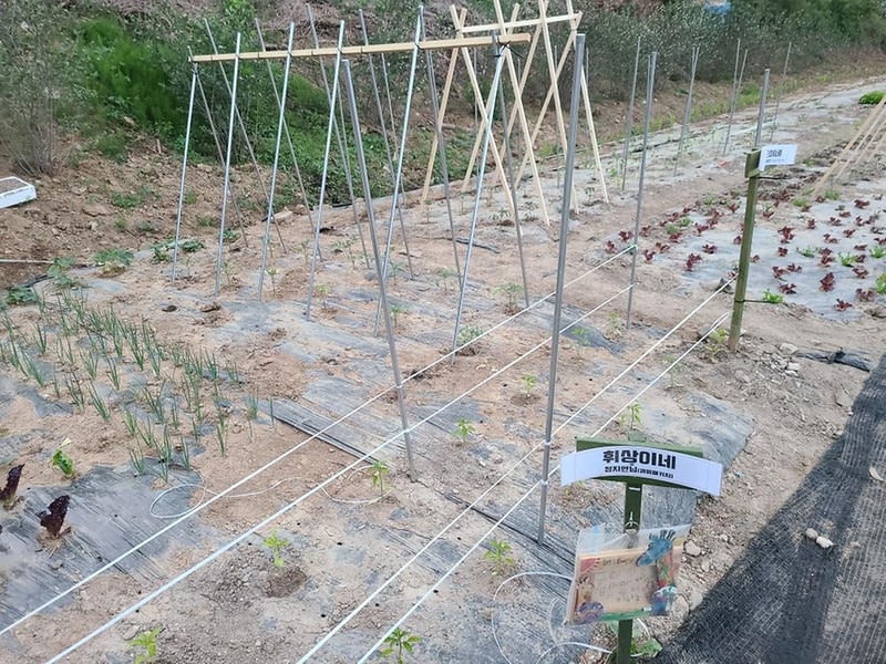 범바위캠핑정원 시설 사진 9