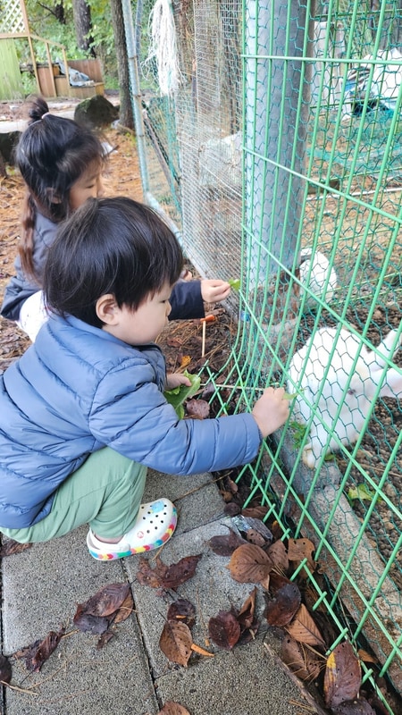 경기도 키즈 캠핑장 추천, 동두천 에코유 캠핑장 놀거리 많네요