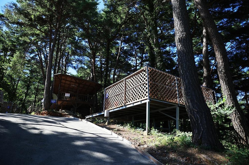 아리아리 숲속의 야영장 시설 사진 16